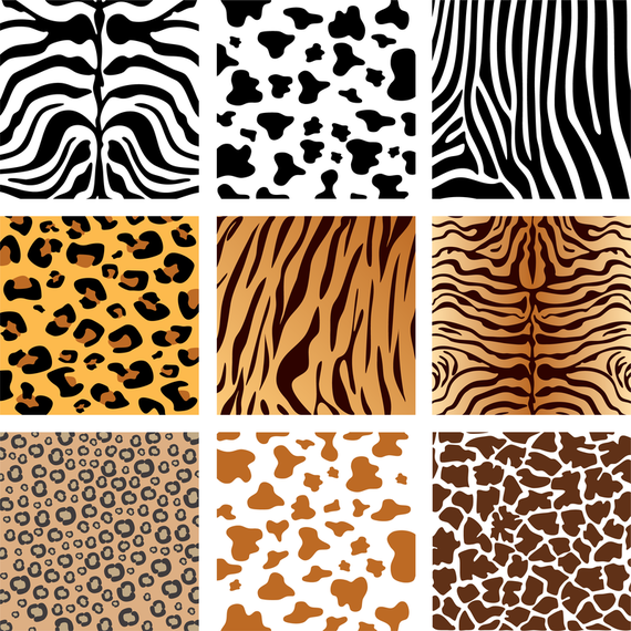 Animal Skin Texture - Vector download