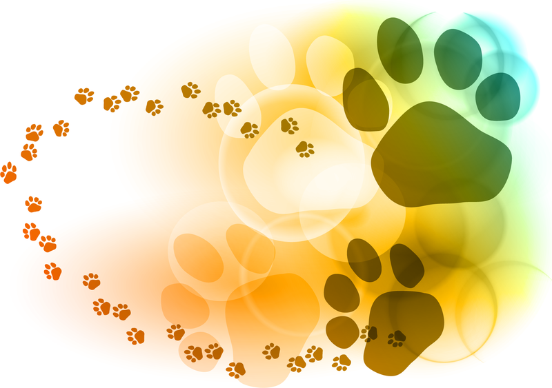 Colorful Bubbles Footprints Colorful Bubbles Footprints