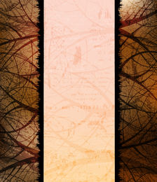 Fondo de silueta de árbol 5