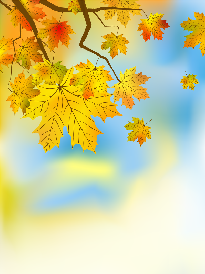 Herbstahornblätterillustration über Blau