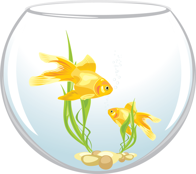 Download Isolated goldfish on glass bowl - Vector download