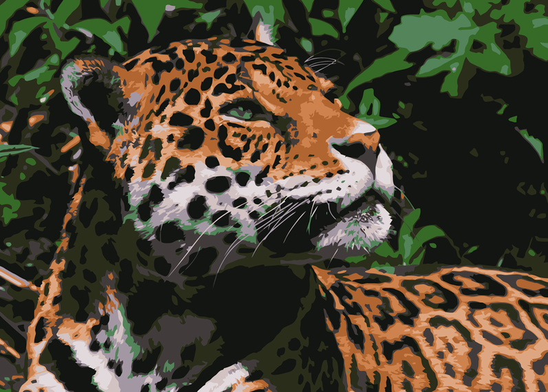 Jaguar Vector - Vector download
