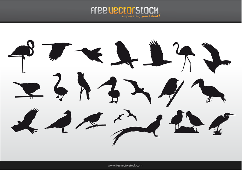 Sammlung von Vogel-Silhouetten 2
