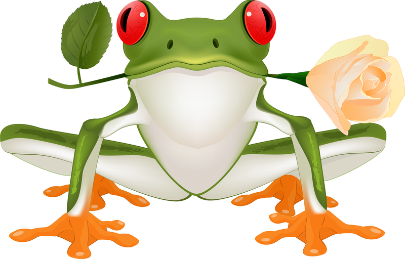 Download 3 Vector Cute Frogs - Vector download