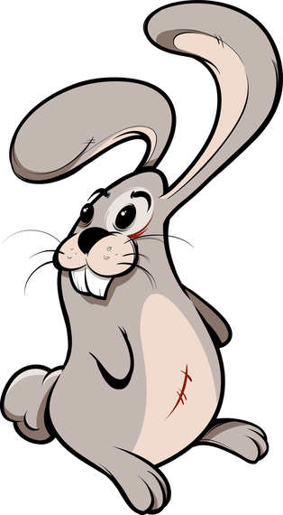 Download Cartoon Bunny - Vector download