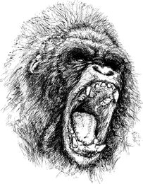 Vector de chimpancé