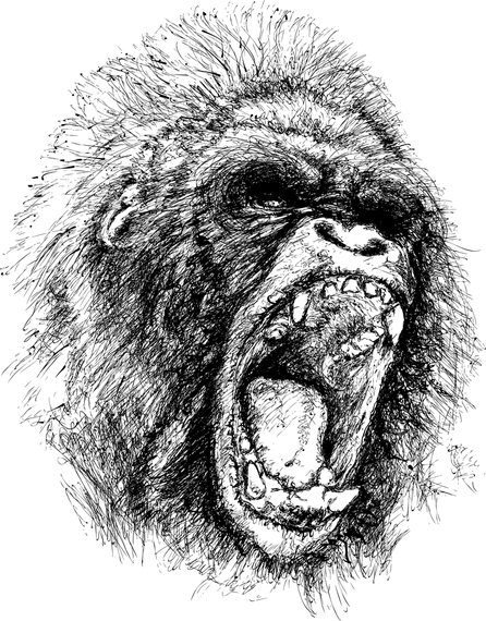 chimpanzee drawing graphic