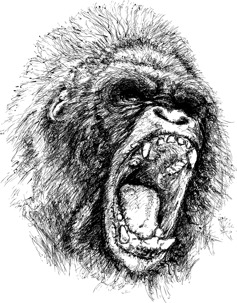 Vetor de chimpanzé