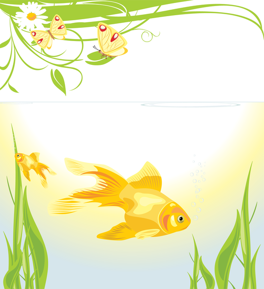 Goldfish illustration with sea weed Goldfish illustration with sea weed