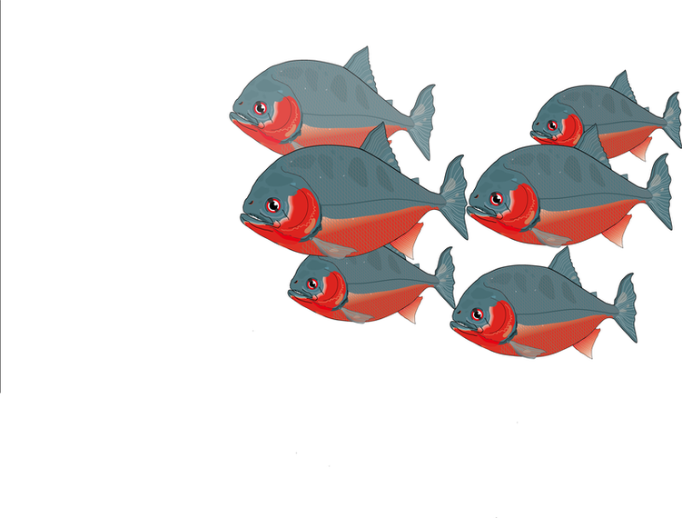 Piranha Vector Original Piranha Vector Original