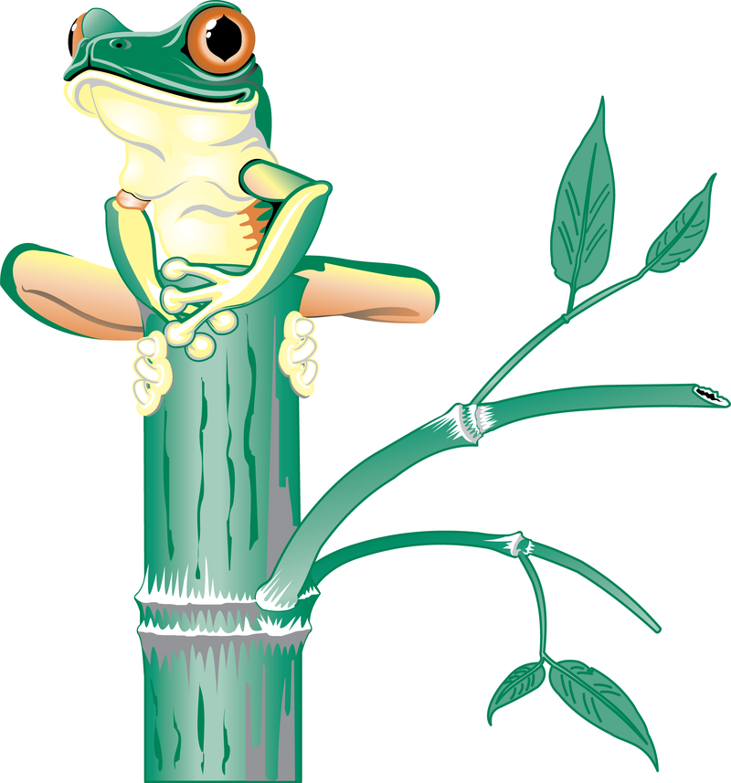 Frog standing in bamboo