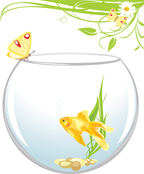 Goldfish with butterfly and plants Goldfish with butterfly and plants