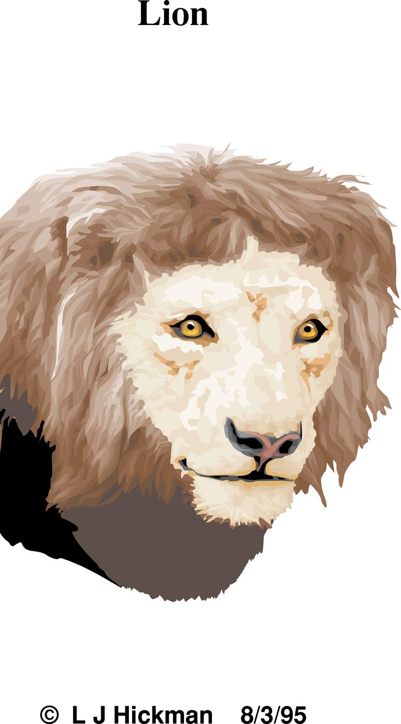 Ilustração texturizada de leão