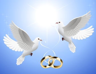 The Pigeons On The Ring The Pigeons On The Ring