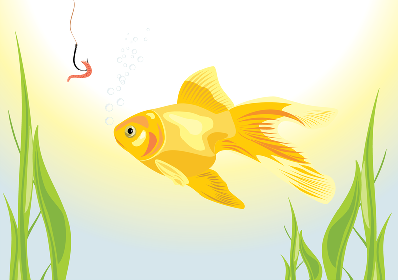 Download Goldfish Vector 5 - Vector download