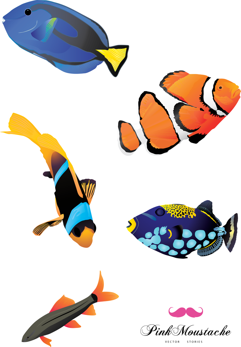 Fish illustration isolated set - Vector download
