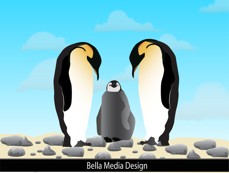 Penguins In Love Penguins In Love