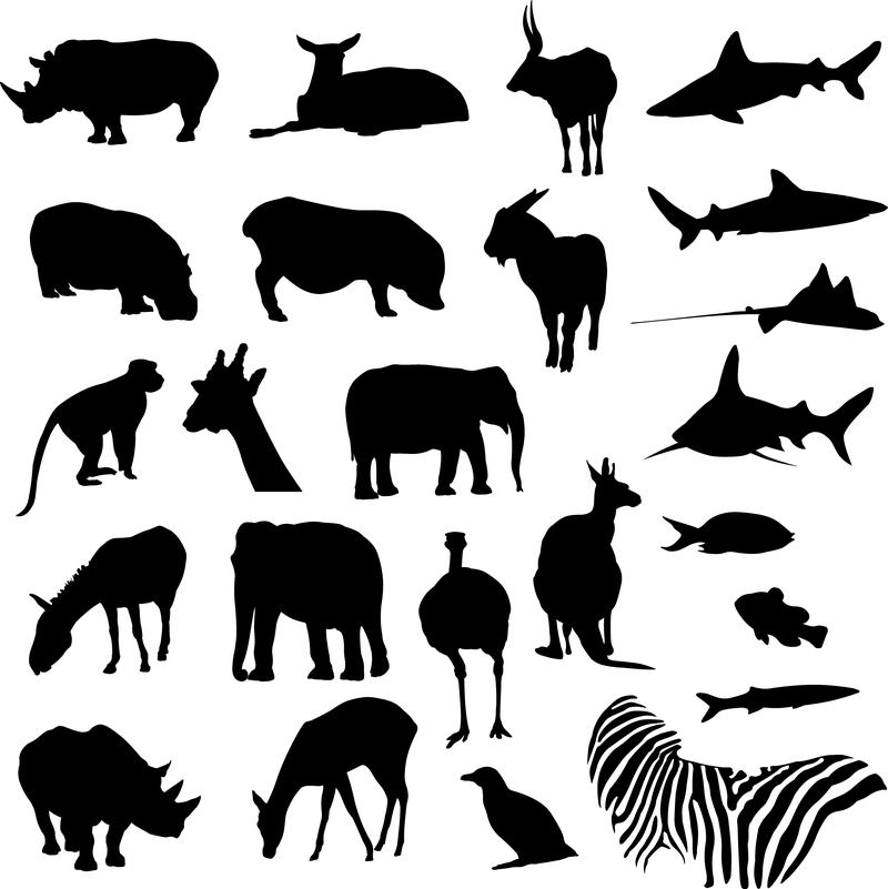 Animales vectoriales 2