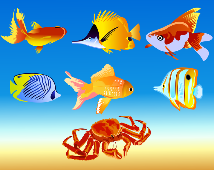 Vector Fish - Vector download