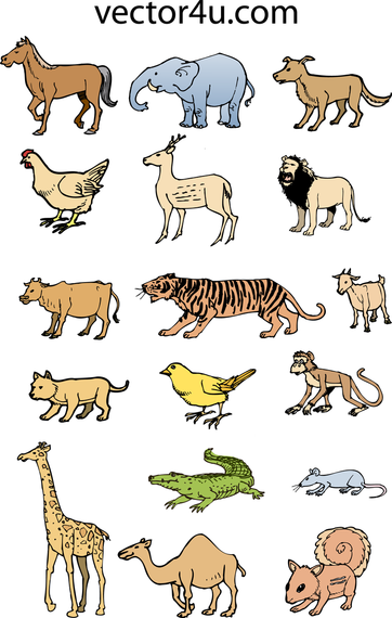 Animal Vector Set 1 Pack - Vector Download