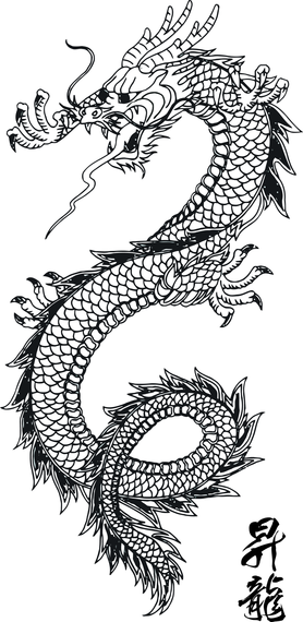 Dragons Dragons