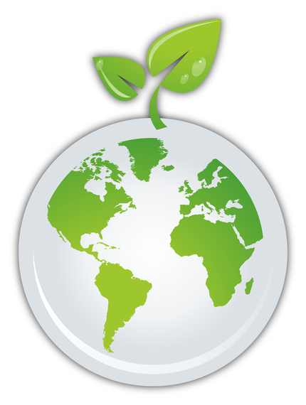 Sprout on earth Sprout on earth