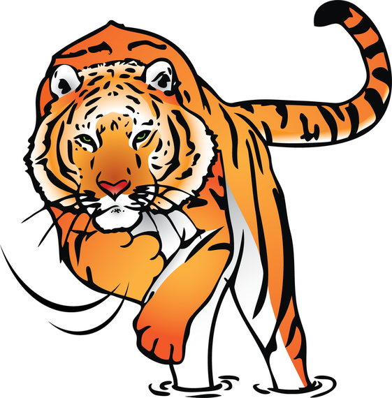 Tiger Image 35 Vector - Vector download