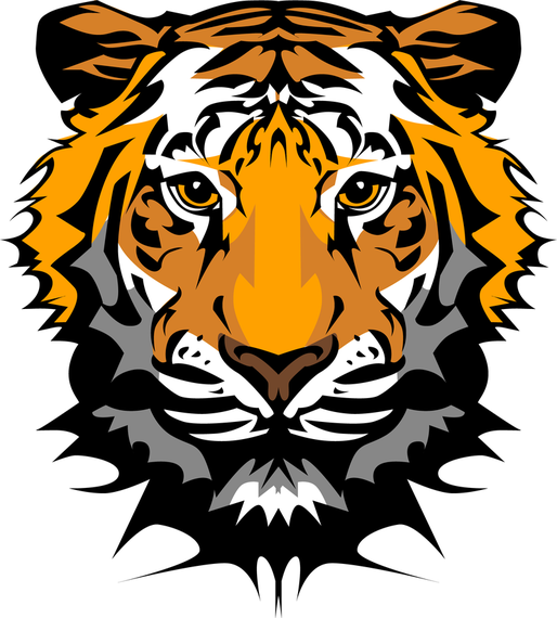The Tiger Picture 20 Vector The Tiger Picture 20 Vector