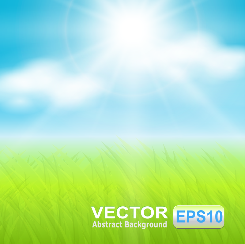 Cielo de la hierba del vector