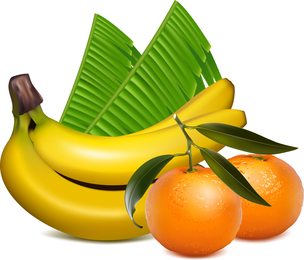 Ai desenhando vetor de frutas realistas
