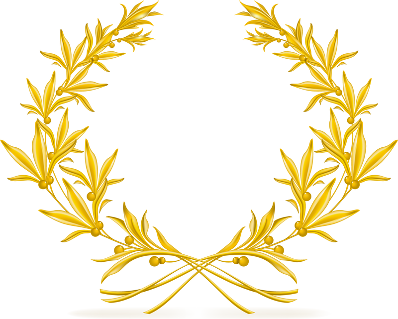 Golden Olive Branch Vector Vector download