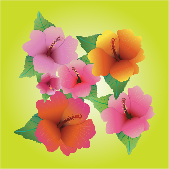 Hibiscus Vectors - Vector download