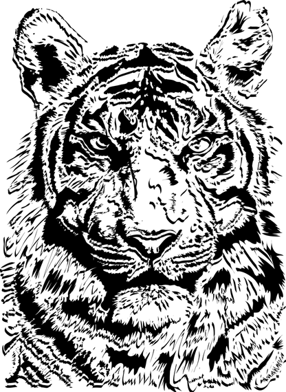 Tiger Image 02 Vector - Vector download