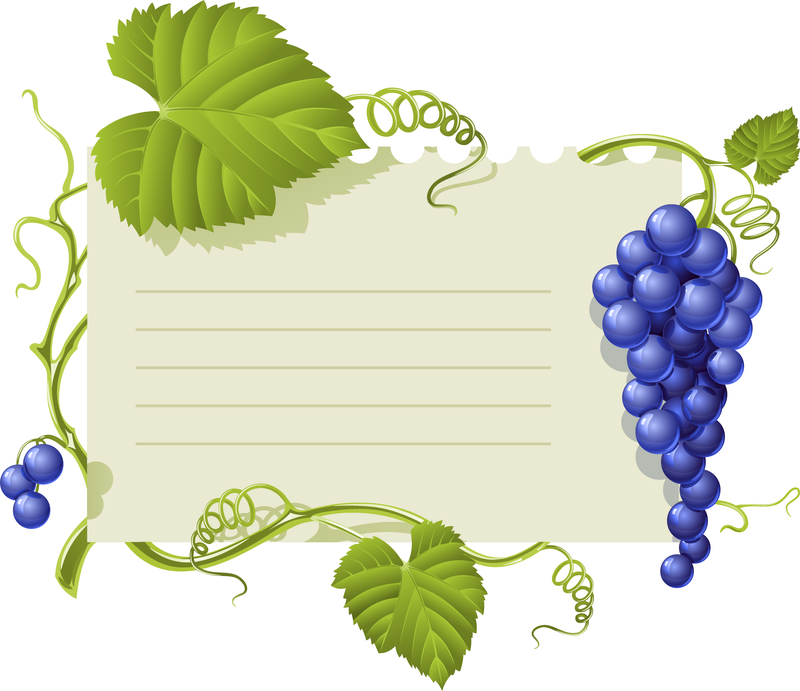 Purple Grape Theme Bulletin Board Vektor