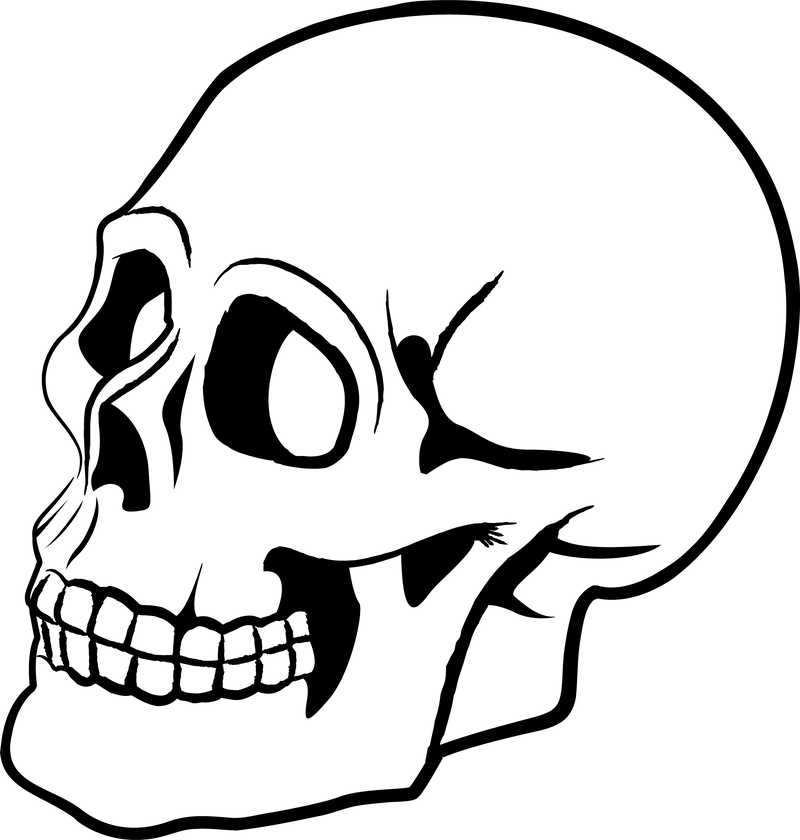 Download Skull Vector 2 - Vector download