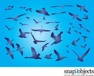 Pájaros libres