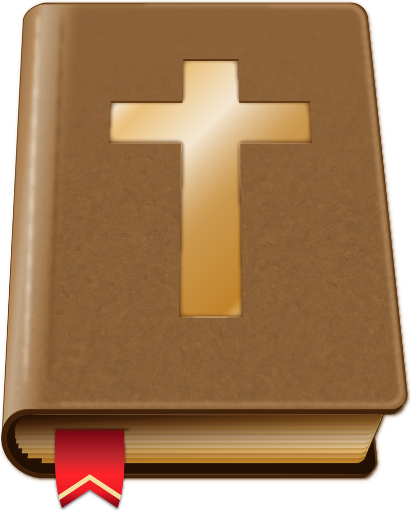 Biblia marrón