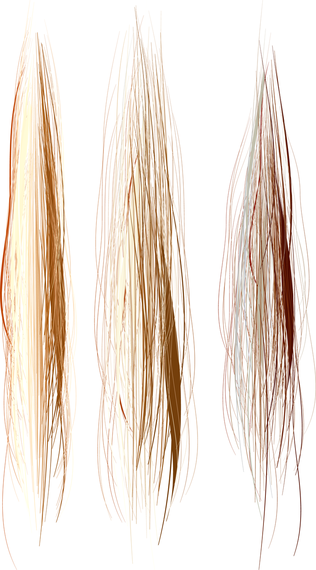 Hair Vector - Vector download