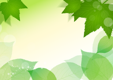 Ilustración de vector de hojas verdes frescas de primavera