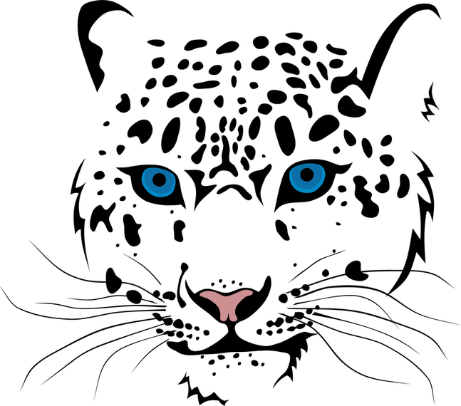 Tiger Image 13 Vector Tiger Image 13 Vector