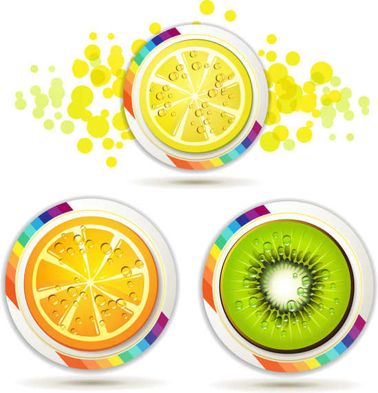 Download Delicious Fruit Slices 04 Vector - Vector download