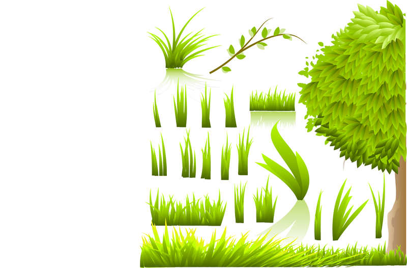 Ilustrações de grama verde