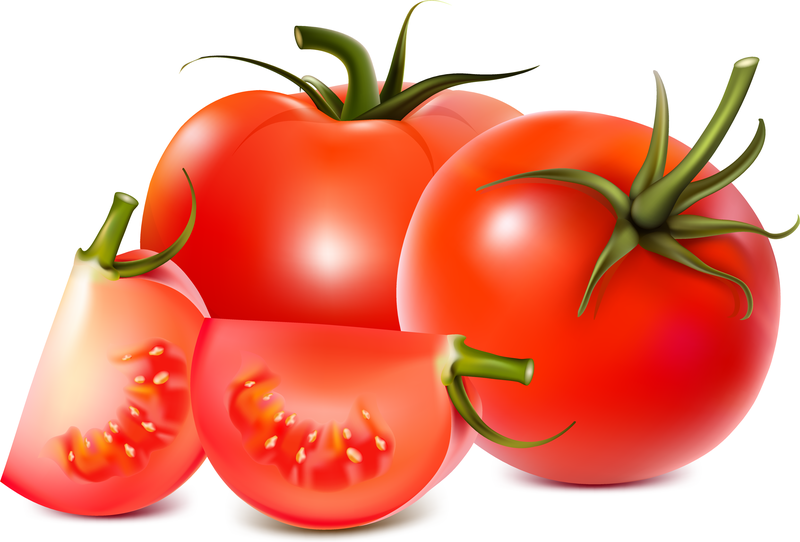 Tomaten Vektor