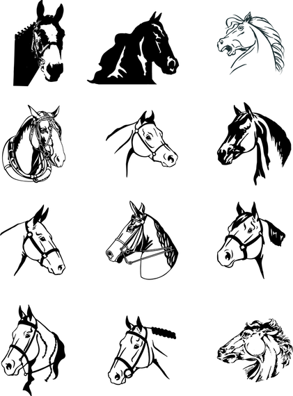 Black And White Horse Vector Black And White Horse Vector