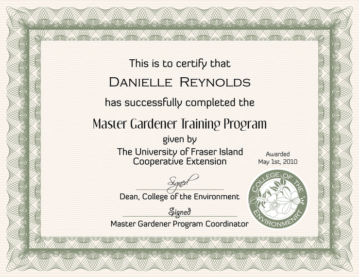 Vetor de projeto de seis certificados Vetor de projeto de seis certificados
