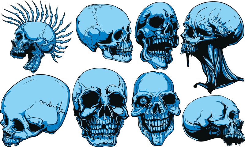 Skull Vector 3 Skull Vector 3