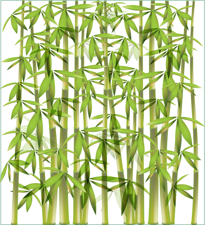 Bambus-Vektor-Illustration