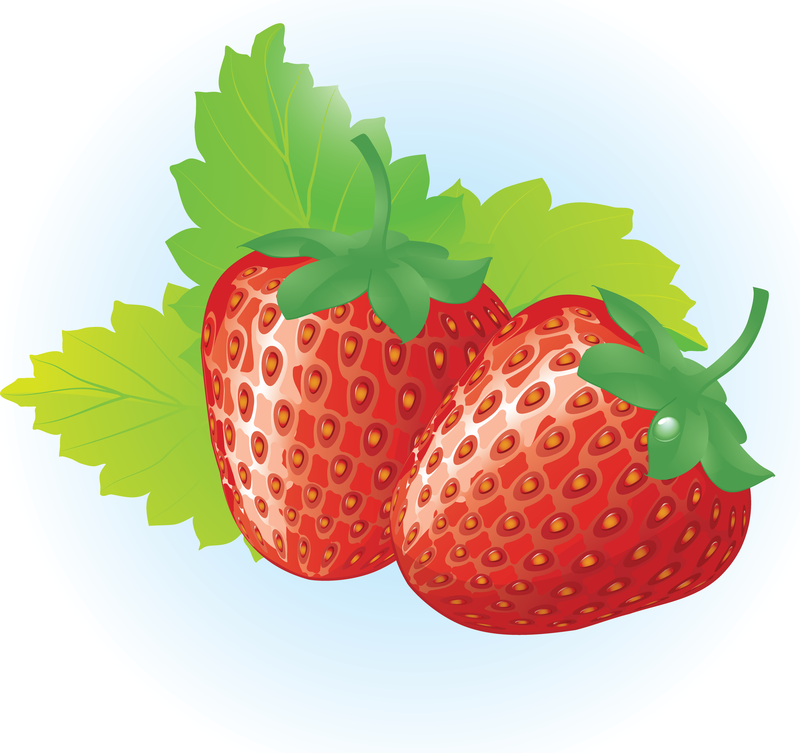 Ilustración de vector de fresas frescas y sabrosas gratis