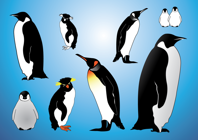 Penguins Vectors Penguins Vectors