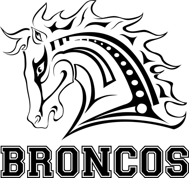Broncos Fantasy League